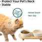 Ceramic Elevated Cat Food and Water Bowl, Kitty Bowl, Raised Cat Dish, Pet Feeder (5.1 in, 2 x Beige + Stand)