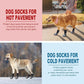 EXPAWLORER Anti Slip Dog Socks to Prevent Licking Paws, Dog Shoes for Hot Pavement, Dog Booties for Small Medium Large Senior Dogs, Traction Control Dog Boots & Paw Protectors for Hardwood Floors