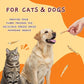 Jungle Calling Freeze Dried Minnows for Cats & Dogs, Single Ingredient Fish Cat & Dog Treats, High Protein Grain Free Pet Training Snacks, 2 oz