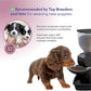 Automatic Dog & Cat Food Feeder with Water Dispenser – Smart Pet Feeder with Portion Control, OLED Display, Anti Jam Design, Battery Operated Dispenser for Small Pets - Black