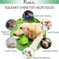Dog Chew Toys Dog Toothbrush Stick Teeth Cleaning Brush Dental for Small Medium Large Dog, Rubber Squeaky Toys for Aggressive Chewers Cactus Tough Toys