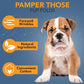 NOVEHA Wrinkle XL Wipes for Dogs | Wipes for Bulldog, French Bulldog, Pug, English Bulldog – Wipes for Multiple Areas Removes Dirt, Wrinkles, Folds, Tear Stain, Tail Pockets & Paws (240 Counts)