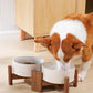 Getstar Ceramic Dog Bowls with Acacia Wood Stand, 30 fl oz, Set of 2, Dog Food Bowl, Cat Bowls (6.5 inches) (Vintage White)