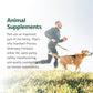Standard Process Inc. VF Thymex for Pets - Cat & Dog Immune System Support Supplement - Thymus Supplement to Aid Canine & Feline Immune Health - Supplement with Vitamin C - 90 Tablets
