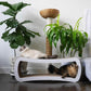 PetFusion Jumbo Cat Scratcher Lounge, White. 39 x 11 x 14 inch 4 Cardboard Scratching Surfaces and 2 Levels, Scratch, Play, Perch, and Hide100% Recyclable Cardboard Cat Lounge