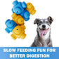 Dog Puzzles for Smart Dogs, Interactive, Puzzle Treats, Puppy Puzzle, Toys to Keep Them Busy, Dog Games, Toys for Bored Dogs, Advanced Puzzles, Boredom Busters (6 Pieces)