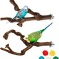 2 Packs Parrot Bird Perches,Natural Wild Grape Stick Grinding Paw Climbing Standing Cage Accessories Toy for 3-4 Parakeets, Budgies, Lovebirds,Cockatiels (Style-1)