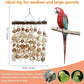 PINVNBY Large Parrot Toys Natural Nuts Corn Cob Wooden Chewing Tearing Toy for African Grey Macaws Amazon Cockatoos Eclectus Conures Cockatiels Cockatoo and Large Medium Birds (Natural)