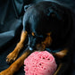 Medium Breed Snuffle Interactive Foraging Dog Puzzle Ball Toy Pink Large