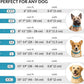 CollarDirect Rolled Leather Dog Collar, Soft Padded Round Puppy Collar, Handmade Genuine Leather Collar Dog Small Large Cat Collars 13 Colors (15-19 Inch, Light Blue)