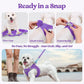 rabbitgoo Dog Harness Small Sized and Leash Set, Step in Soft Light Puppy Vest, Breathable Mesh Pet Harness, Reflective for Safe Outdoor Walking, Purple S