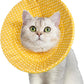 Elizabethan Collar (美/首巻/黄/M)