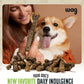 Amazon Brand - Wag Dental Chews - Green Dental Brush for Dogs, Large, Unflavored, 24 Count (Pack of 1)