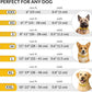 CollarDirect Rolled Leather Dog Collar, Soft Padded Round Puppy Collar, Handmade Genuine Leather Collar Dog Small Large Cat Collars 13 Colors (8-11 Inch, Yellow Smooth)