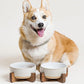 Ceramic Dog Bowls for Medium Small Dogs - 4 Cup Medium Dog Food and Water Bowls with Wood Stand, Cute Pet Dishes Set of 2, Lines+Dot