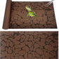 Tfwadmx Reptile Carpet Sand Mat for Bearded Dragon Terrarium Substrate Liner Brown Reversible Lizard Bedding Mats for Cage Leopard Gecko Tortoise Turtle Snake Chameleon with Tweezer 20"x 39"(2 Pcs)