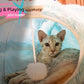 XxingSheep XL Cat Tunnel with Bed for Indoor Cats Peekaboo Cat Cave Donut Toy with Warm Mat,Azure Blue