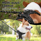 PUPTECK No Pull Dog Harness Medium Sized, Adjustable Reflective Dog Harness with Handle Easy Control, Comfortable Soft Padded Pet Vest Harness for Medium Dogs, Black M