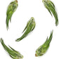Air Plants - Tillandsia Seleriana, Large 4-6" - 5ct - Live Arrival Guaranteed - House Plants for Home Decor & Gift