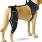 Petpanm- Adjustable Dog Knee Brace- Right Hind Leg with Integreted Harness- Premium Support for Torn ACL, Sprains & Strains Recovery, Enhances Mobility, Comfortable Neoprene. (XSmall)