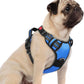 rabbitgoo Dog Harness Small Sized, No Pull Dog Vest with 3 Buckles, Adjustable Soft Padded Pet Harness with Easy Control Handle and Reflective Strips, Blue, S