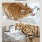 DownyPaws Battery Operated Cat Water Fountain, 84oz/2.5L Fursink Wireless Pet Water Fountain for Cats Inside, Automatic Dog Water Dispenser with Motion Sensor, Ultra Quiet Pump, BPA-Free, White