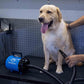 METROVAC AFTD-3: Air Force Commander 2-Speed Dryer - Blue | 4.0 HP | Professional Pet Grooming Blower | Made in USA