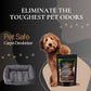 Mahogany Coconut Dream Carpet Freshener Powder: Powerful Odor Eliminator for Home, Upholstery Deodorizer, Carpet Deodorizer, Pet Urine, Cat Litter Box - Mahogany Coconut Dream Fragrance.