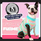 FUAMEY Recovery Suit for Dogs After Surgery,Soft Breathable Dog Bodysuit E-Collar & Cone Alternative Surgical Suit,Male Female Dog Neuter Spay Suits Anti Licking Wounds Onesie Mint Green Stripes XS