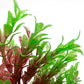 Mipukbay Red & Green Aquarium Plants - Artificial Plastic Fish Tank Decor, Realistic Ornament Safe for Fish & Shrimp, Low-Maintenance Aquascaping Plants for Freshwater/Saltwater Tank Landscaping