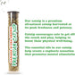 Meowijuana Jump 'n' Jamb Door Hanging Cat Toy | Deep Sea Squid | Refillable Interactive Catnip Toy | Promotes Play and Cat Health | Includes Potent Catnip Grown in North America