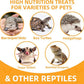 Freeze Dried Mealworms 6 Oz - High Protein Pet Food for Reptiles, Bearded Dragons, Birds & Hedgehogs - Nutrient-Packed Treat for Lizards, Geckos, Turtles, Chickens