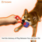 Rope Dog Toys for Small and Medium Dogs | Dog Toys for Aggressive Chewers | Dog Tug of War Toy for Interaction and Teeth Cleaning, Set of 3 Ropes