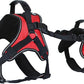 Doggie Stylz Multi-Functional Full-Body Lifting Dog Harness Vest, Designed for Front-Only, Rear-Only or Full-Body Dog Lifting. Please Measure Your Before Ordering.
