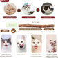 Natural Wood Cat Wand Toy with Ribbon Fish Teaser - 3pcs, 16 Inch, Indoor Cat Exerciser & Playing Kitten Toy, Bonus 5pcs Catnip Sticks for Teeth Cleaning