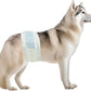 BV Dog Diapers Male Large (Waist 21-26in) Super Absorbent - 50 Count Disposable - Doggie Diapers with Wetness Indicator - Adjustable Male Dog Wraps - Ideal for Incontinence/Training