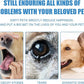 Pet Dental Finger Wipes, Oral Cleansing Teeth Care Finger Cots Wipes Pads for Dogs and Cats, Optimize Oral Health, Reduces Plaque, Freshen Breath - 50 Wipes