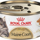 Royal Canin Feline Breed Nutrition Maine Coon Adult Thin Slices in Gravy Canned Cat Food, 3 oz can (24-count)