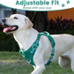 No Pull Dog Harness, Reflective Puppy Vest for Small Medium Large Sized Dog(MARRS Green,S)
