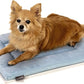 KindTail Dog Crate Pad - Soft Velvet, Reversible Bed - Machine Washable Kennel Mat for Pets up to 15 lbs, Mattress for Cozy Sleeping - 20” x 15” x 1” (Light Blue, Small)