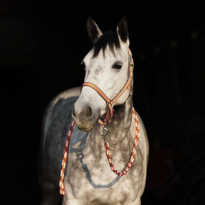 HORZE Adepto Adjustable Horse Halter | Soft, Durable Polyester - Coral Gold - Warmblood