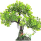 POPETPOP Artificial Aquarium Plant Plastic Water Plant Tree Fish Tank Bonsai Ornament Fish Tank Hideout Sushi Plate Decor for Aquarium Terrarium Landscape Green