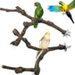 Allazone 4-Piece Bird Perch - Natural Grapevine Stick Swing Chewing Toys for Parrot Cages, Cockatiels, Parakeets, Finches