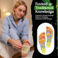 Foot Patches Pads for Deep Cleansing: Feet Patches Bamboo Wood Vinegar Ginger Foot Pads for Promoting Sleeping 20 Packs