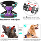 Timos Dog Harness Large Sized, No Pull with Neck Lockable Snap,No Choke Front Clip Dog Reflective Harness,Adjustable Metal Rings 3 Buckles,Easy Control Handle for Large Dogs Purple L