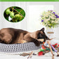 TINDTOP Silvervine Chew Sticks for Cats, 12 Pack Natural Catnip Chew Toys for Kittens Teeth Cleaning, Matatabi Dental Care, Increase Appetite Cat Dental Toy