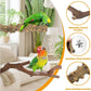 kathson 5pcs Natural Parrot Perch for Cage Wooden Bird Perches Grape Bird Stick Parakeet Climbing Standing Branches Toy Chewable Cage Accessories for Small Budgies Cockatiels Lovebirds Budgies