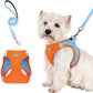rabbitgoo Dog Harness Small Sized and Leash Set, Step in Soft Light Puppy Vest, Breathable Mesh Pet Harness, Reflective for Safe Easy Walking, Blue & Orange S