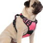 rabbitgoo Dog Harness Small Sized, No Pull Dog Vest with 3 Buckles, Adjustable Soft Padded Pet Harness with Easy Control Handle and Reflective Strips, Pink, S