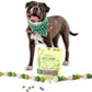 Polkadog Lucky Duck Crunchy Training Bits – All Natural, Grain Free Healthy Training Treats for Dogs. Handcrafted & Made in USA. Great for Dogs with Allergies or Sensitive Stomachs – 7oz